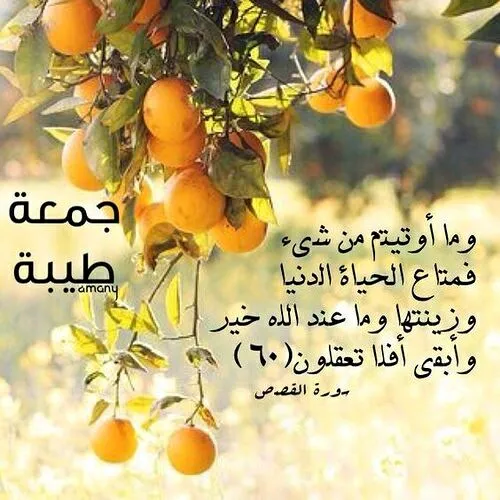 جمعــــــه تـون گلبارون🌹 🌹