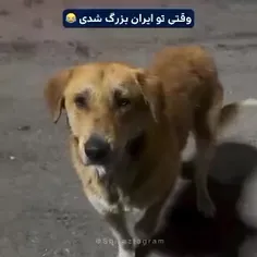 حقه باز کلاهبردار😄😄👍