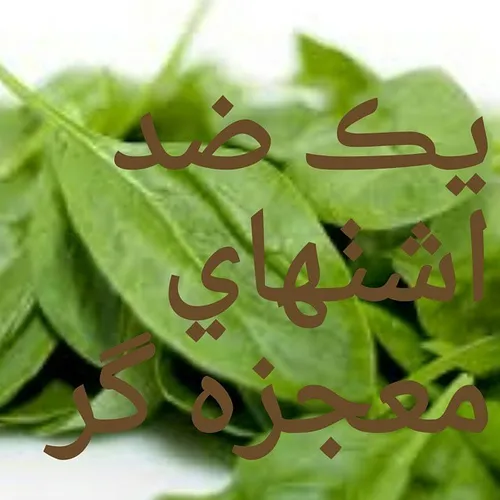 با خوردن این گیاه احساس گرسنگی و میل به پرخوری و ریزه خوا