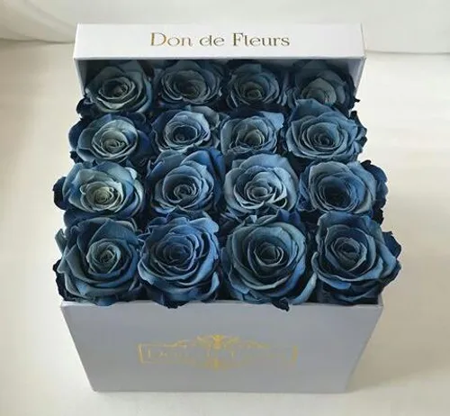 flower rose blue