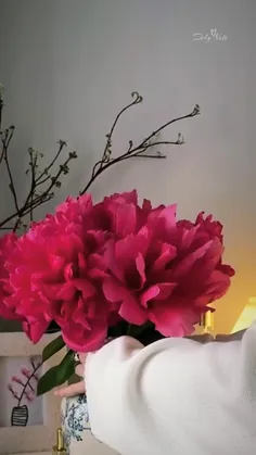 💞صبحت بخیر عزیزم🌺☀️🌺