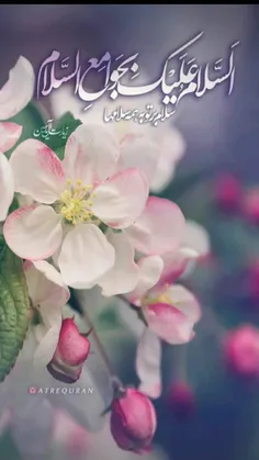 عیدتون مبارک 🌹🌹