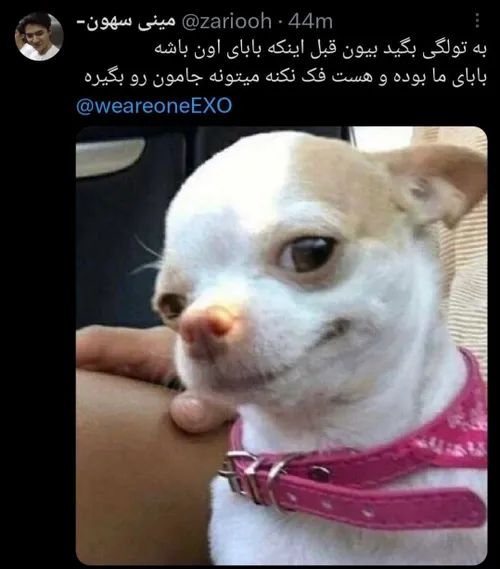 دست به دست کنیدبرسه به تولگی عزیز🌚👐🏻