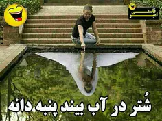 خخخخ