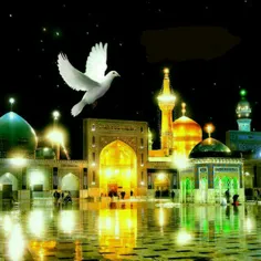 #السلام.علیک.یا.امام.رضا...التماس.دعا...