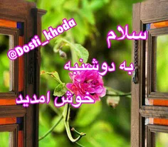 گوناگون khanoommohandes 15633396