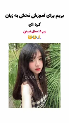فحش کره ای بیاموزیم.. :) 
