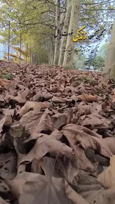 #استوری_درخواستی از فالورای گلم بفرمائید تقدیمون🌹