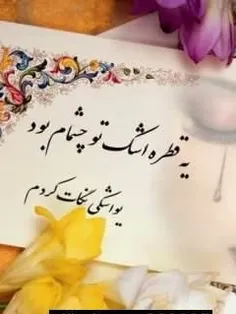 شب بخیر بچه ها روز خوبی فردا داشته باشید از همه ای ک لایک