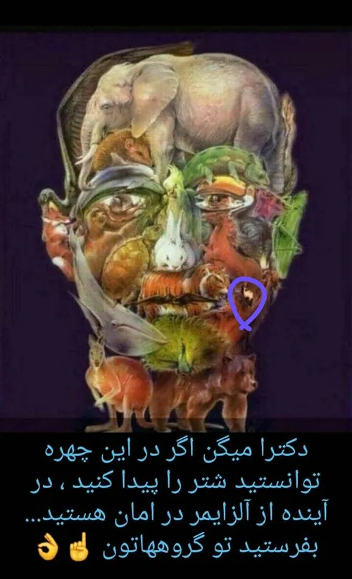  sa12376 36726254 - عکس ویسگون