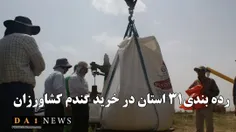 (مبدأ) اعلام کرد: رده‌بندی ۳۱ استان کشور در خرید گندم از 