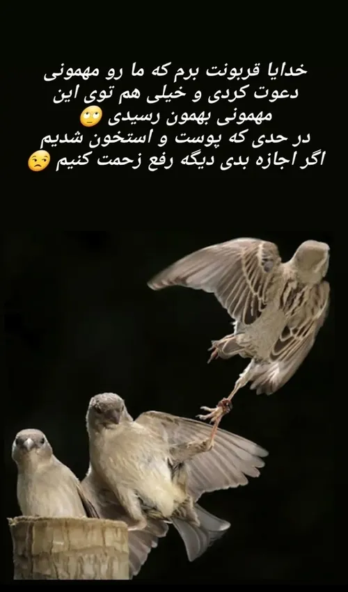 بدون شرح