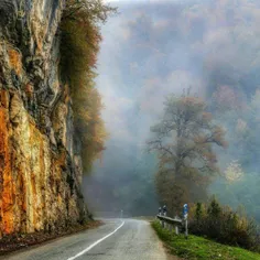 تصویری زیبا از جنگل دالخانی رامسر، استان #مازندران #ایران