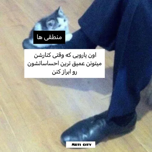 تصویر گویا می باشد: