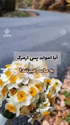 شادی روح همه مؤمنین صلوات💚💚