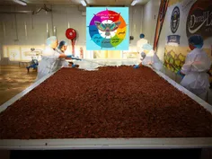 5 شکلات ساز استرالیایی  در روز استرالیا یک بستی بزرگ راکی