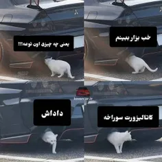 جررررررررر 🤣🤣🤣🤣🤣