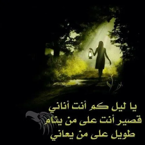 عاشقانه ها ahmad2212 12956250 - عکس ویسگون