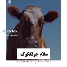 #جونکوک