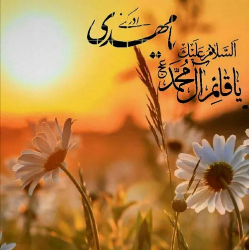 ✿ یابن الحسن(عج) ✿