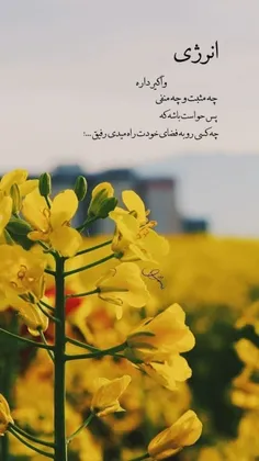 انرژی