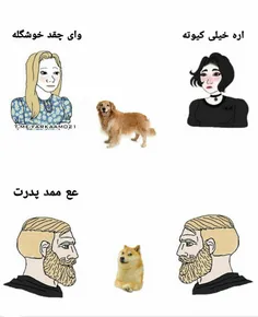 دخترا و پسرا وقتی سگ میبینن 😂 | فرکام