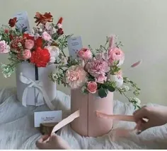 🌸پیشاپیش 