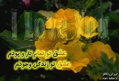 یه تو میسپارمش تا وقتی دستاش و میگیری تو سختی/تا میزاره ر