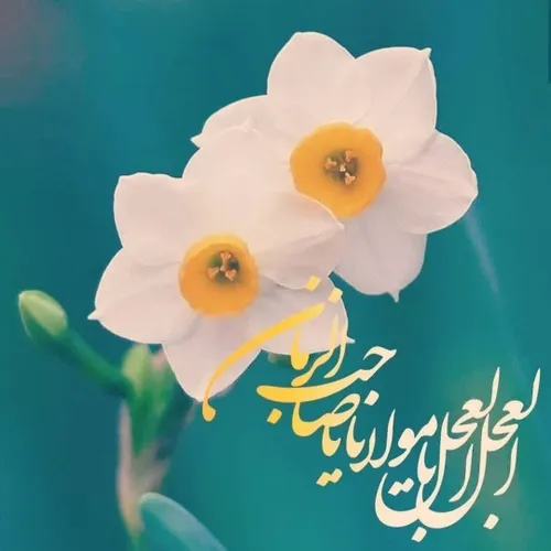 السلام علیک یاشریک القرآن
