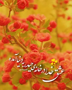 დდდდდდفدای عشششششق خدا.....السلام علیک یا قمر بنی هاشم