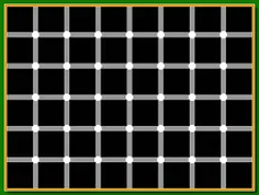 چند تا نقطه می‌بینی؟؟