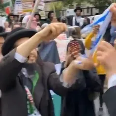 پاره کردن پرچم اسرائیل توسط یهودیان ضدصهیونیست