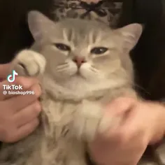 گوربای دنسر 😂🥲✨