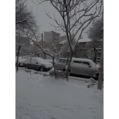 تبریز الان ⛄❄تو این سرما می گم خوشا به حالت ای جنوبیا😍😀