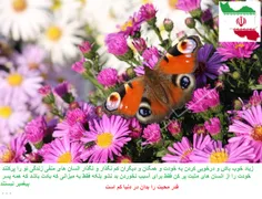 محبت کن و خسته نشو ...........