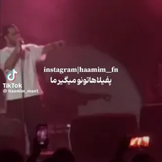 حامیم و چشمان تیز بینش