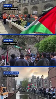 رویدادهای حمایت از  فلسطین در دانشگاه‌های کمبریج انگلیس، 