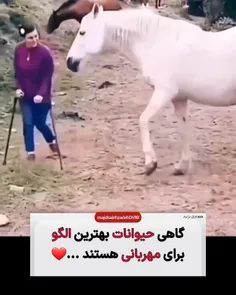 اساس جهان هستی روی عشق و مهربانی استواره.. ♥💫