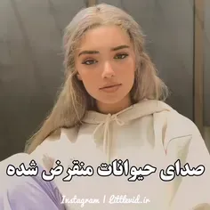 از اکسپلور میای دنبالمون کنید❤️