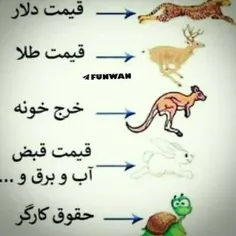 تمام مطلب ها حقققققق🤚🏻🤚🏻🤚🏻