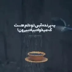 یه پرنده ابی تو دلم هست عمیق..... بکوفوسکی

#عمیق#دکلمه#شعر#موسیقی#نویسنده#بکوفوسکی#