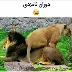 #خلاقیت #طنز