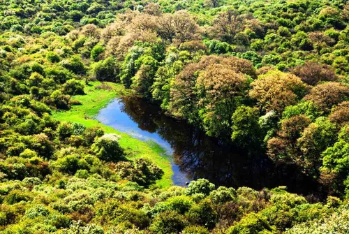 🌳🌲 تصاویر پارک جنگلی گلستان