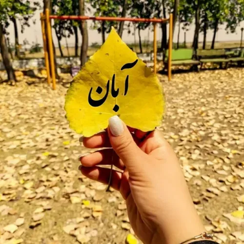 خزان دلبر🍁😍🍂