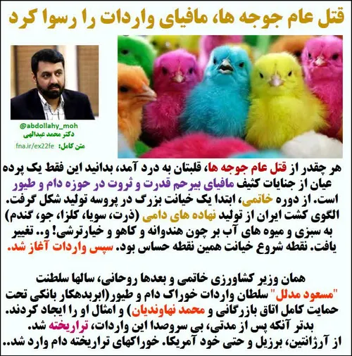 🔴 قتل عام جوجه ها، مافیای واردات را رسوا کرد