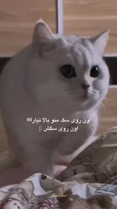 اون روی سگت: