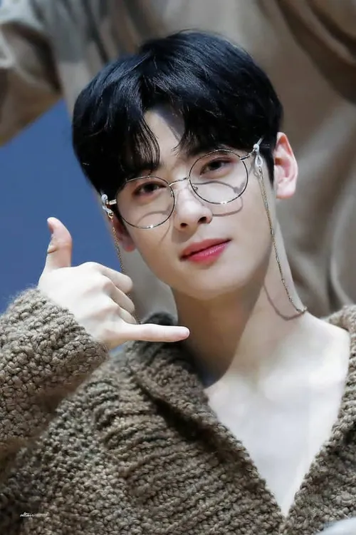 cha eun woo