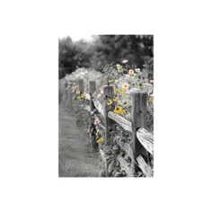 #زندگی چیست...؟