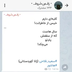 #سعید_فلاحی