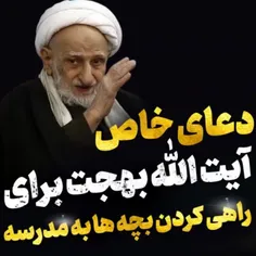 فرزند آیت‌الله بهجت می‌فرمودند: هر موقع می‌خواستم بچه‌هام